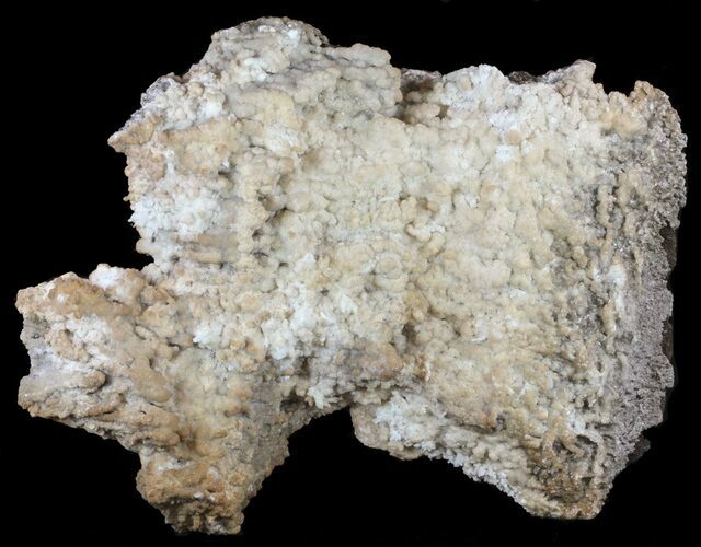 Calcite & Aragonite Stalactite Formation #61222